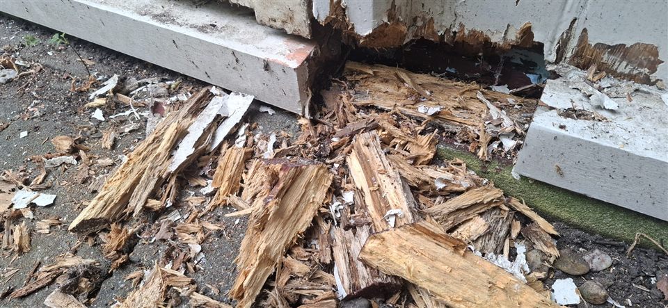 Vooraf: verrot hout van een onderdorpel in splinters op de bestrating